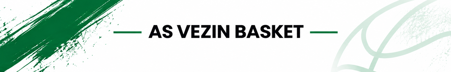 Bannière AVENIR SPORTIF VEZIN Basket
