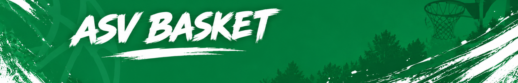 Bannière AVENIR SPORTIF VEZIN Basket