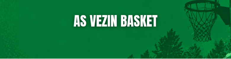 Bannière AVENIR SPORTIF VEZIN Basket